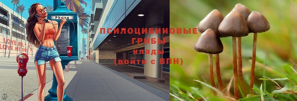 соль ск Аркадак