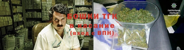 экстази Арсеньев