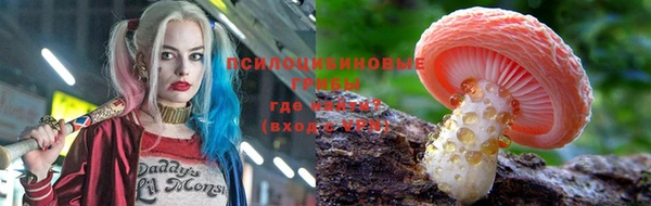 экстази Арсеньев