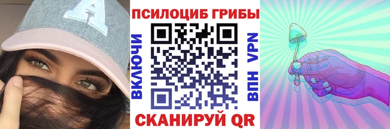 ОМГ ОМГ как войти Сосновоборск Псилоцибиновые грибы Psilocybine cubensis